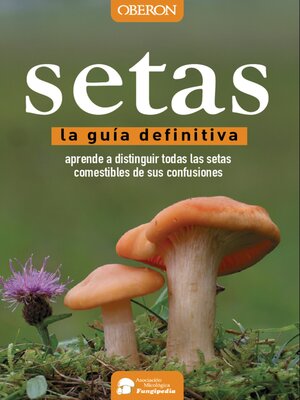 cover image of Setas